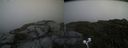 ./images/calvert/buxton2/20200719/buxton220200719_145004M.jpg
