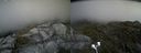 ./images/calvert/buxton2/20200719/buxton220200719_151004M.jpg