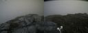 ./images/calvert/buxton2/20200719/buxton220200719_152502M.jpg