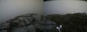 ./images/calvert/buxton2/20200719/buxton220200719_154004M.jpg