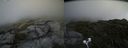 ./images/calvert/buxton2/20200719/buxton220200719_155004M.jpg