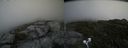 ./images/calvert/buxton2/20200720/buxton220200720_145004M.jpg