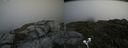 ./images/calvert/buxton2/20200720/buxton220200720_145504M.jpg
