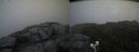./images/calvert/buxton2/20200720/buxton220200720_205004M.jpg
