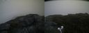 ./images/calvert/buxton2/20200721/buxton220200721_062504M.jpg