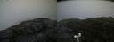 ./images/calvert/buxton2/20200721/buxton220200721_063503M.jpg