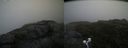 ./images/calvert/buxton2/20200721/buxton220200721_065003M.jpg