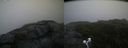 ./images/calvert/buxton2/20200721/buxton220200721_070503M.jpg