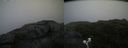 ./images/calvert/buxton2/20200721/buxton220200721_115503M.jpg