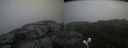 ./images/calvert/buxton2/20200721/buxton220200721_185503M.jpg