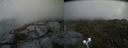 ./images/calvert/buxton2/20200722/buxton220200722_192504M.jpg