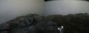 ./images/calvert/buxton2/20200723/buxton220200723_134004M.jpg