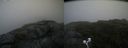 ./images/calvert/buxton2/20200723/buxton220200723_141504M.jpg