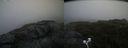 ./images/calvert/buxton2/20200723/buxton220200723_142504M.jpg