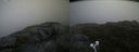 ./images/calvert/buxton2/20200723/buxton220200723_155004M.jpg