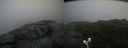 ./images/calvert/buxton2/20200723/buxton220200723_162004M.jpg