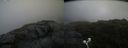./images/calvert/buxton2/20200723/buxton220200723_163504M.jpg
