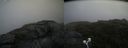 ./images/calvert/buxton2/20200723/buxton220200723_171003M.jpg