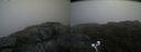 ./images/calvert/buxton2/20200723/buxton220200723_171503M.jpg