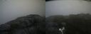 ./images/calvert/buxton2/20200723/buxton220200723_182003M.jpg