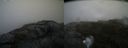 ./images/calvert/buxton2/20200723/buxton220200723_185504M.jpg