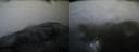 ./images/calvert/buxton2/20200724/buxton220200724_054003M.jpg