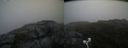 ./images/calvert/buxton2/20200724/buxton220200724_092504M.jpg