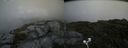 ./images/calvert/buxton2/20200725/buxton220200725_102503M.jpg
