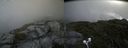 ./images/calvert/buxton2/20200725/buxton220200725_103503M.jpg