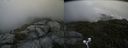 ./images/calvert/buxton2/20200725/buxton220200725_104003M.jpg