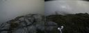 ./images/calvert/buxton2/20200725/buxton220200725_104503M.jpg