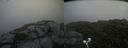 ./images/calvert/buxton2/20200725/buxton220200725_105503M.jpg