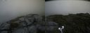 ./images/calvert/buxton2/20200725/buxton220200725_111003M.jpg