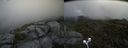 ./images/calvert/buxton2/20200725/buxton220200725_115504M.jpg