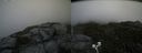 ./images/calvert/buxton2/20200727/buxton220200727_154003M.jpg