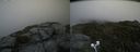 ./images/calvert/buxton2/20200727/buxton220200727_161004M.jpg