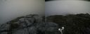 ./images/calvert/buxton2/20200727/buxton220200727_161503M.jpg