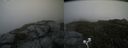 ./images/calvert/buxton2/20200727/buxton220200727_162003M.jpg