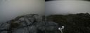 ./images/calvert/buxton2/20200727/buxton220200727_164503M.jpg