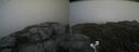 ./images/calvert/buxton2/20200727/buxton220200727_165003M.jpg