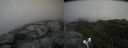 ./images/calvert/buxton2/20200727/buxton220200727_171003M.jpg