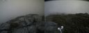 ./images/calvert/buxton2/20200727/buxton220200727_172003M.jpg