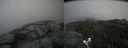 ./images/calvert/buxton2/20200727/buxton220200727_172503M.jpg