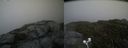 ./images/calvert/buxton2/20200727/buxton220200727_175503M.jpg
