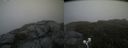 ./images/calvert/buxton2/20200727/buxton220200727_181003M.jpg
