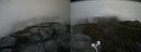 ./images/calvert/buxton2/20200727/buxton220200727_185003M.jpg