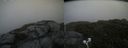 ./images/calvert/buxton2/20200727/buxton220200727_195003M.jpg