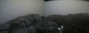 ./images/calvert/buxton2/20200728/buxton220200728_091003M.jpg