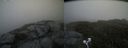./images/calvert/buxton2/20200728/buxton220200728_105004M.jpg