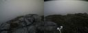 ./images/calvert/buxton2/20200728/buxton220200728_105503M.jpg